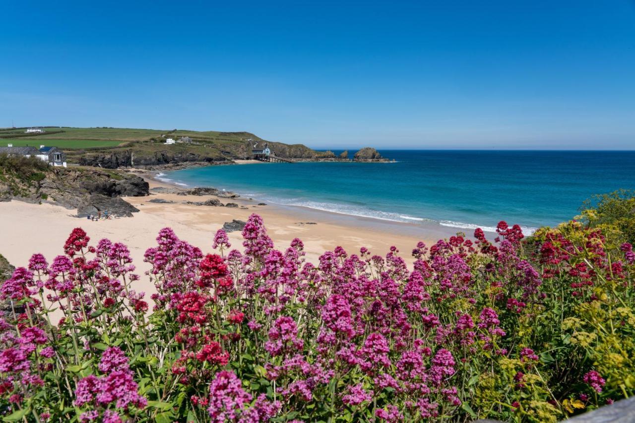 Tor View Bed & Breakfast Padstow Exterior foto